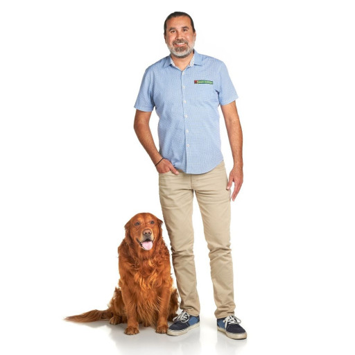 Dog Training in San Diego, California