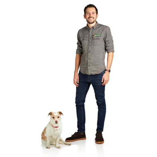 Dog Training in San Diego, California