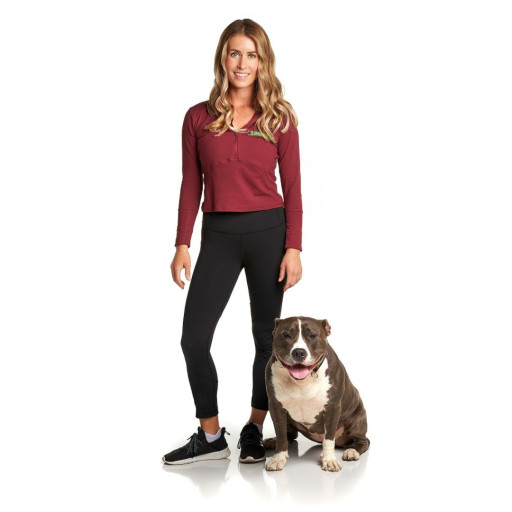 Dog Training in San Diego, California