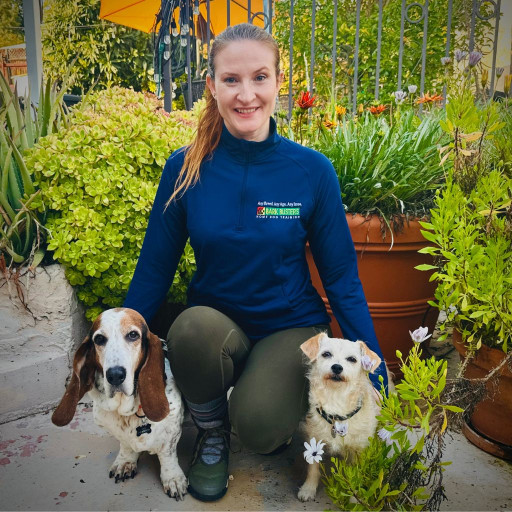 Dog trainer kneeling outdoors with two dogs