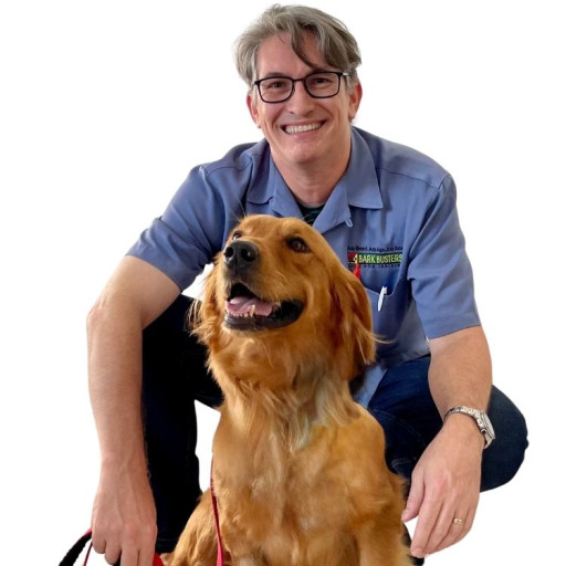 Professional dog trainer in Miami