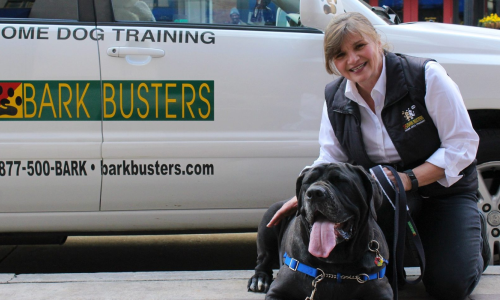 Knoxville Dog Trainer and Dog