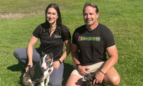 Dog trainers in Los Gatos and Morgan HIll