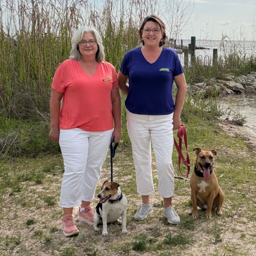 Two dog trainers on a grassy lakeside beach with their dogs