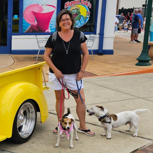 Woman on the street leash walking two dogs