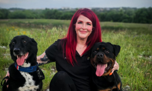 Dog trainer in grassy field with a Rotweiler and a German Shepherd Mix