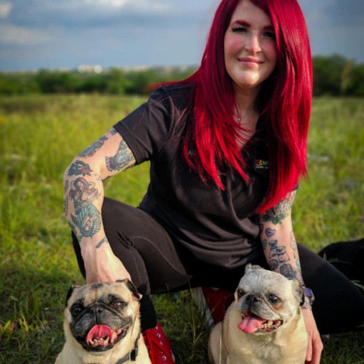 Woman in a grassy field with two happy Pugs