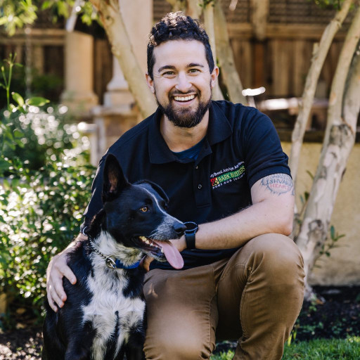 A happy dog with his owner training in the backyard