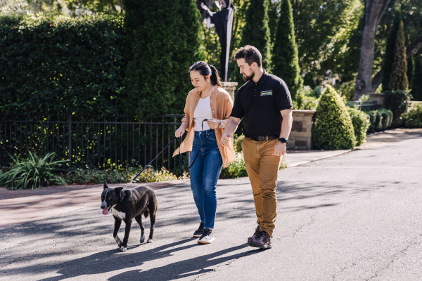 Dog trainer teaching a client how to walk a dog on a leash