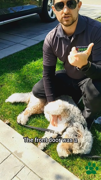 Professional dog trainer calms a reactive dog during a home training session