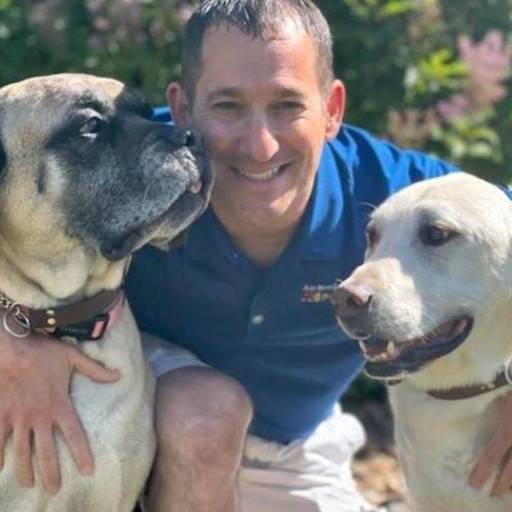 Dog trainer kneeling with two dogs