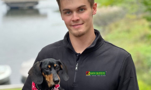 Bark Busters Dog Trainer in Detroit and Dog