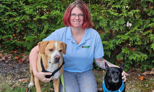 Greater Nashville Bark Busters Home Dog Training Stacey Noble