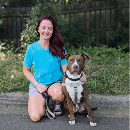 Dog Training in Columbia, South Carolina