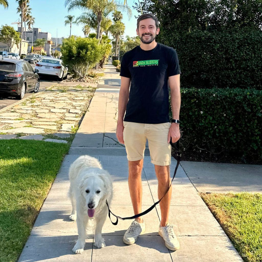Professional dog trainer leashing walking a dog on the sidewalk