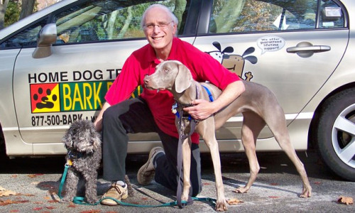 large donald cohen 1