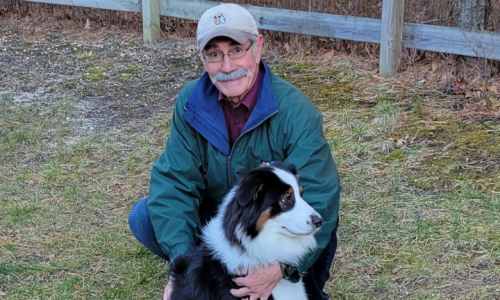 Bark Busters Ocean County