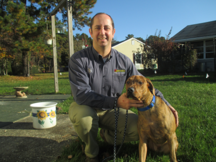 Dog Training in South Jersey, New Jersey