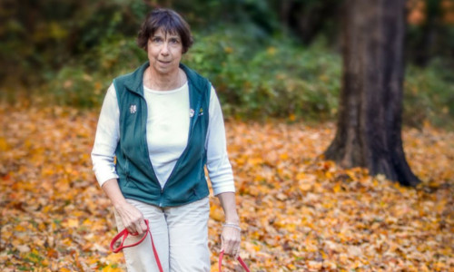Dog trainer in in Frederick County walking a dog in fall foliage