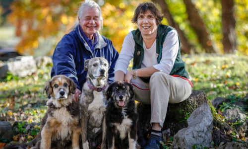 large medaglia trobaugh