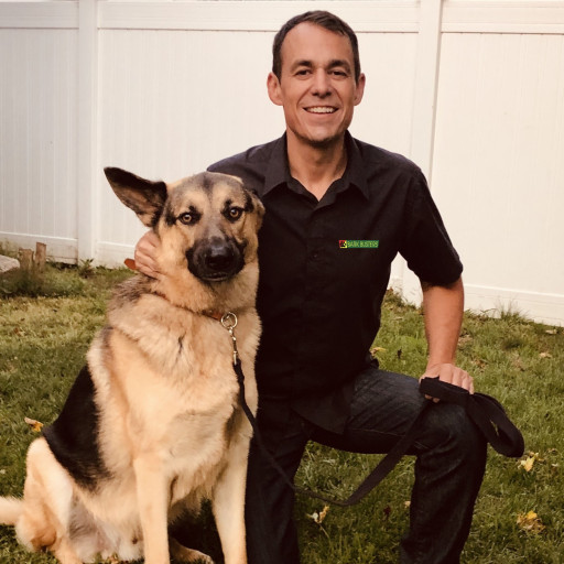 Michael DiStassio Bark Busters Dog Trainer Southern Connecticut