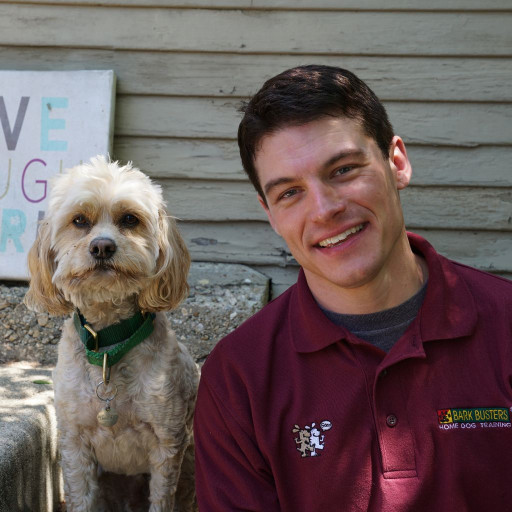 Professional dog trainer works with small white dog during training session in backyard