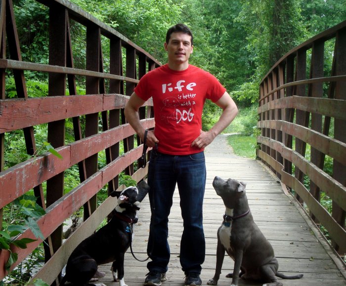 Dog Training in Fairfax, Manassas & Burke, Virginia