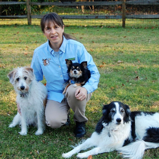 Bark Busters Dog Trainer in Northern Virginia