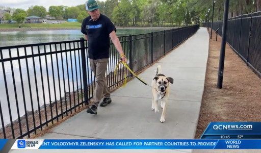 Bark Busters Patrick Hickey on Queen City News