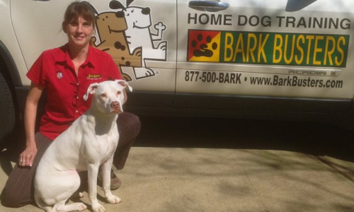 large tim sonja warner