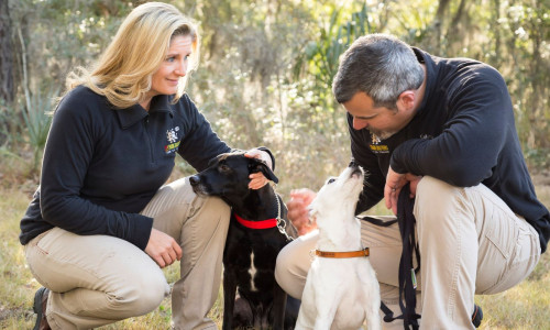 Dog Trainers with Dogs in Savannah