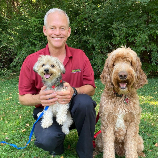 Dog Trainer on a leash walk with two happy dogs