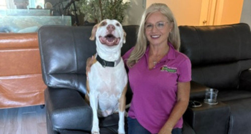 Contact Bark Busters Pinellas County Submit a Form