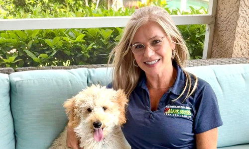 Dog trainer working in Pinellas County Florida