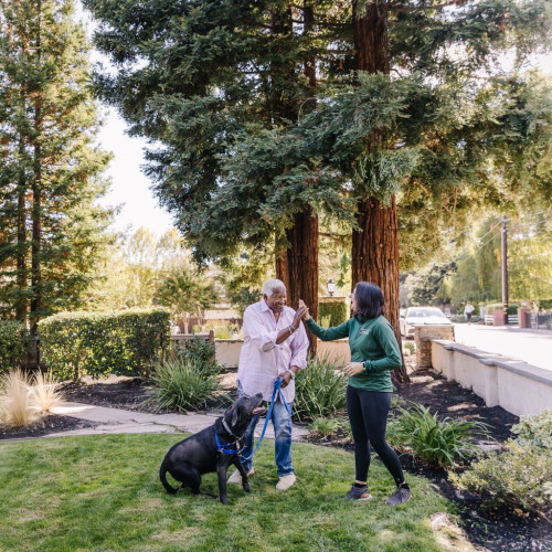 Home dog trainer meeting with a happy client