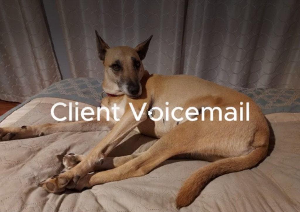 Video preview image for Life-Changing Dog Behavior Training for Aggression, Anxiety & Reactivity