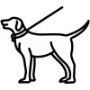 Leadership Bark Busters Home Dog Training